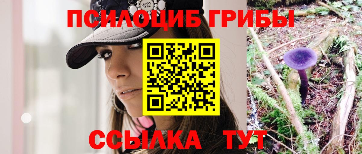 Псилоцибиновые грибы мицелий Калуга